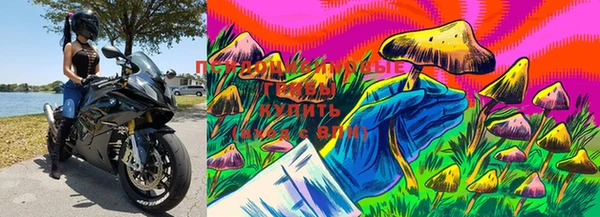 прущая мука Бронницы